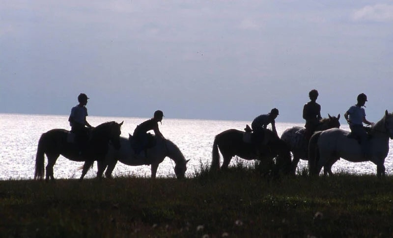 Equitation
