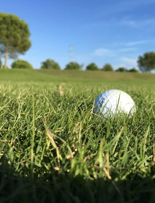Golf (1)